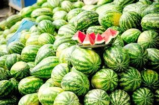 每日大赛吃瓜黑料免费