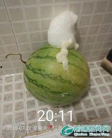 泡泡黑料吃瓜视频在线观看,吃瓜视频带你一探究竟